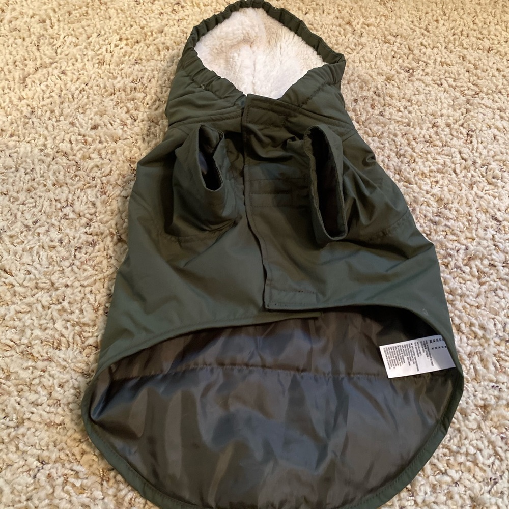 American Beagle Dog Jacket from American Eagle